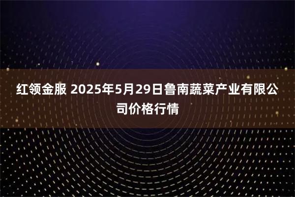 红领金服 2025年5月29日鲁南蔬菜产业有限公司价格行情