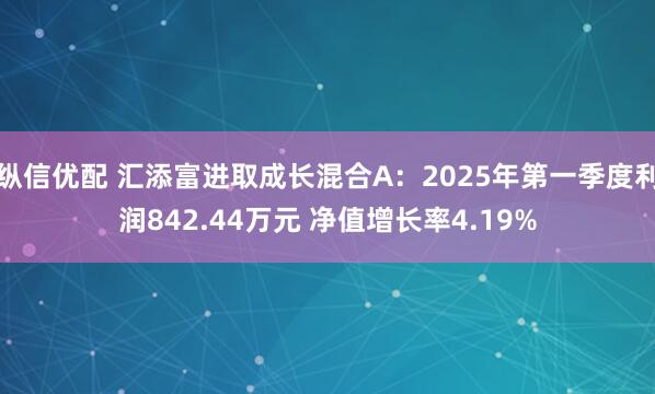 纵信优配 汇添富进取成长混合A：2025年第一季度利润842.44万元 净值增长率4.19%