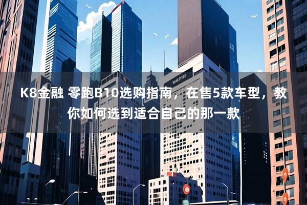 K8金融 零跑B10选购指南，在售5款车型，教你如何选到适合自己的那一款